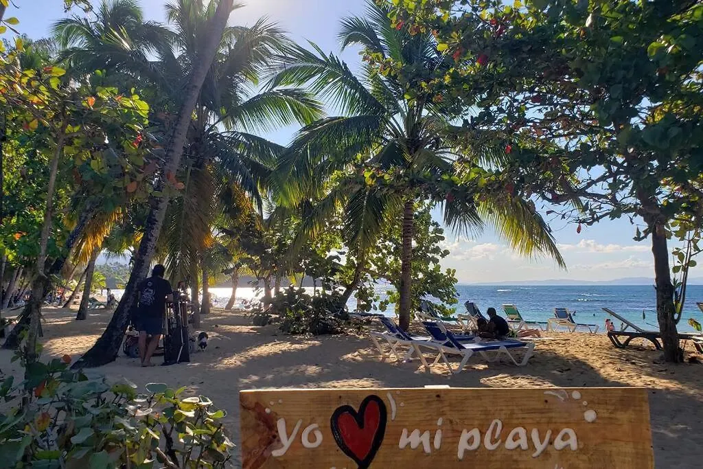 Apartment Playa Las Ballenas Oceanfront Las Terrenas Dominican Republic