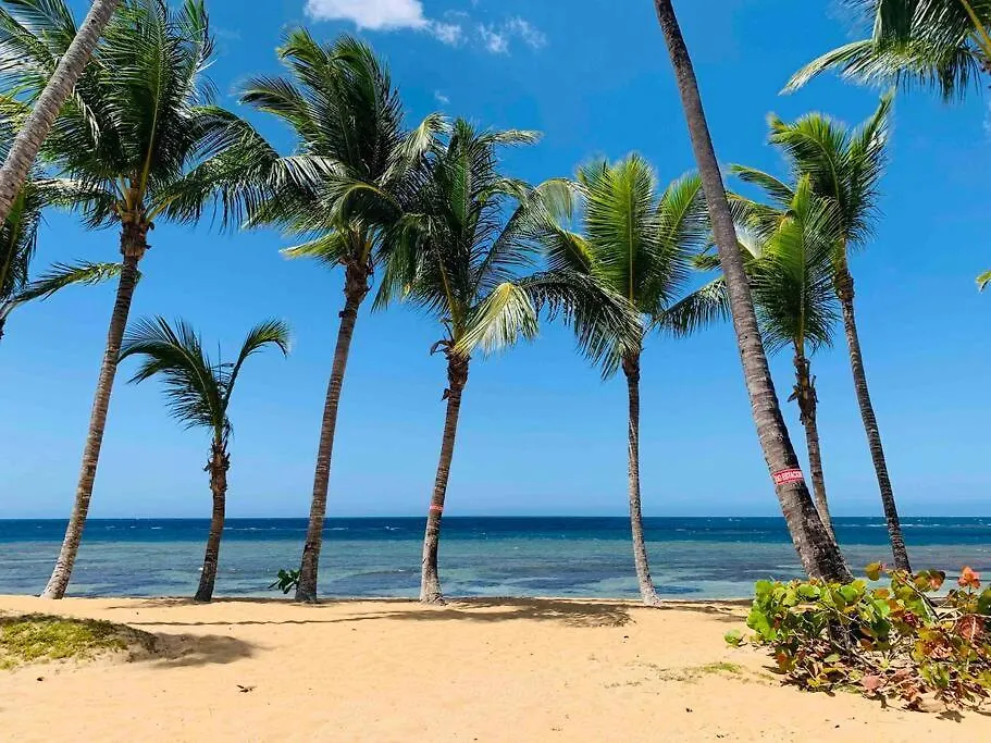 Lägenhet Playa Las Ballenas Oceanfront Las Terrenas